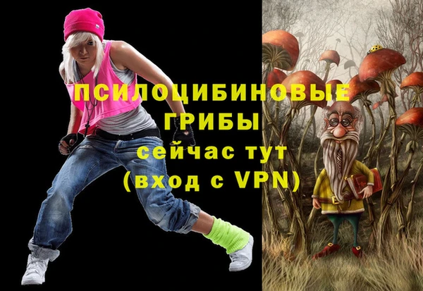 ECSTASY Верея
