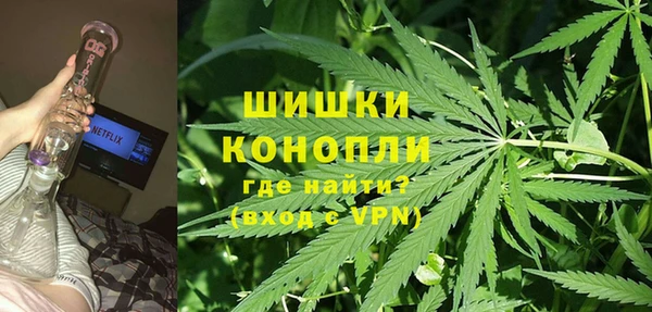 ГАЛЛЮЦИНОГЕННЫЕ ГРИБЫ Волоколамск