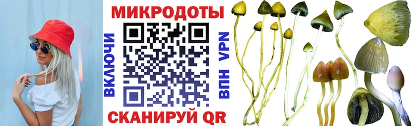 Галлюциногенные грибы Psilocybine cubensis  купить наркоту  Каргат 