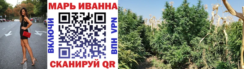 купить Каргат Бошки Шишки LSD WEED